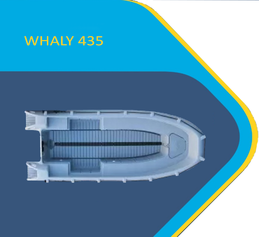 Perahu Fiber Whaly 435