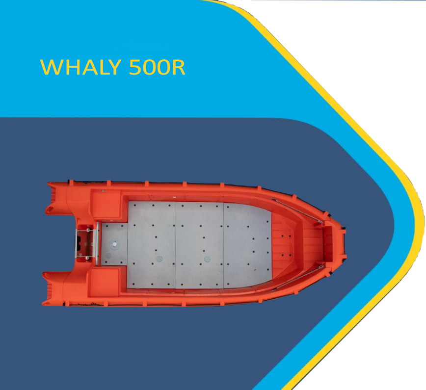 Perahu Fiber Whaly 500R